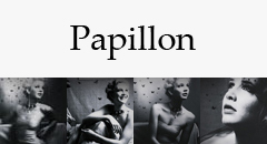 Papillon