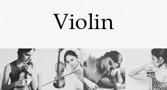 Violin